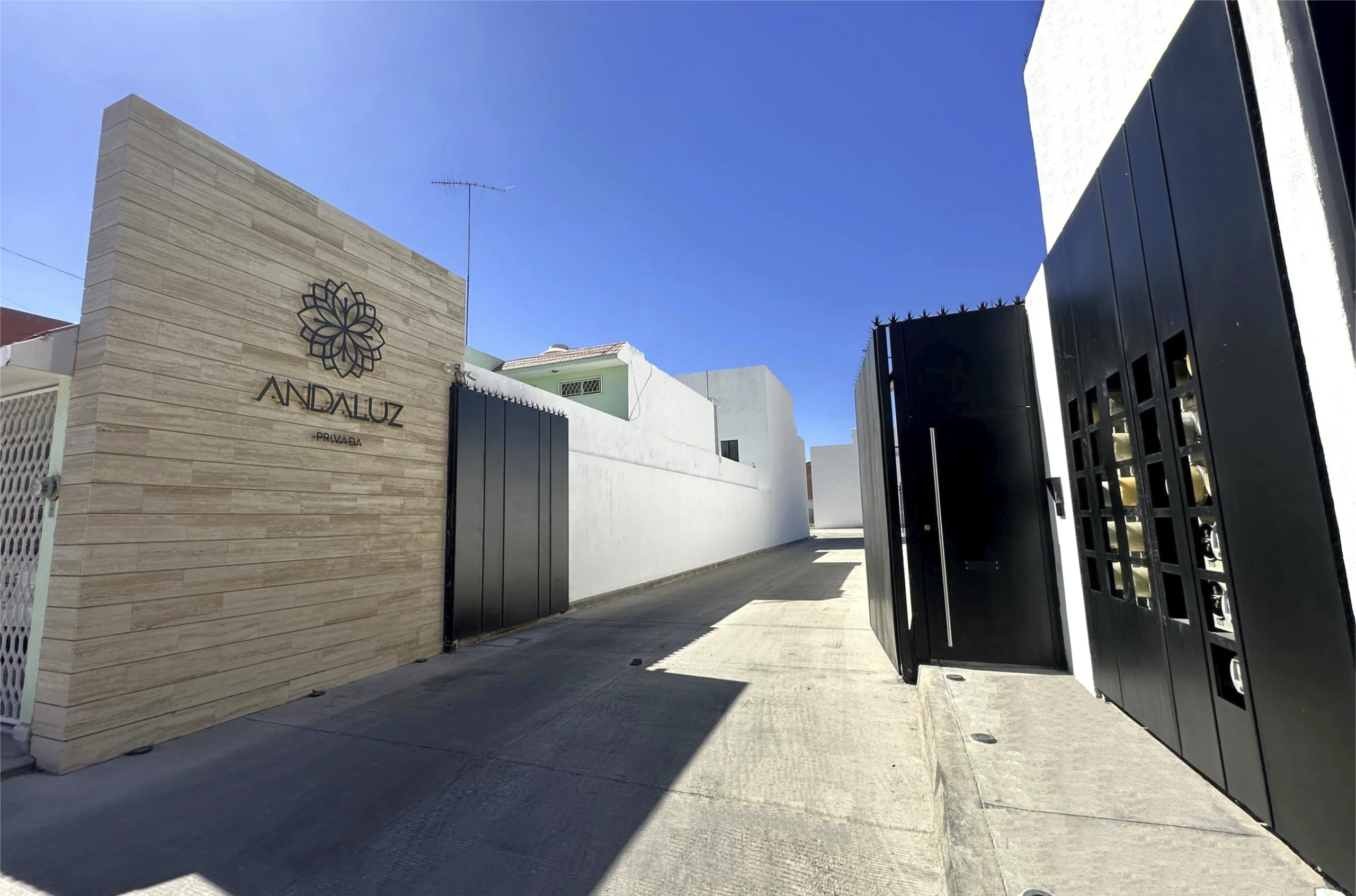 Asset 13